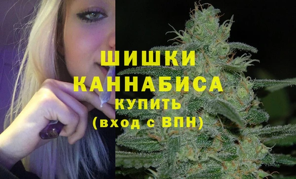 бошки Нея