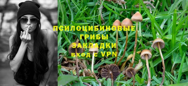 ПСИЛОЦИБИНОВЫЕ ГРИБЫ Нефтекумск