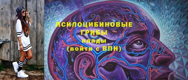 ПСИЛОЦИБИНОВЫЕ ГРИБЫ Нефтекумск