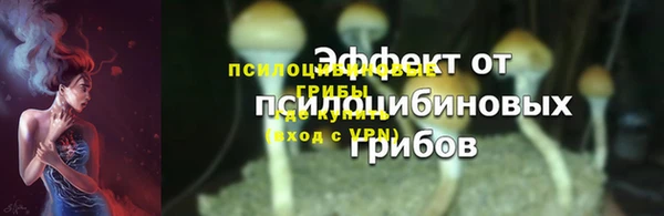 ПСИЛОЦИБИНОВЫЕ ГРИБЫ Нефтекумск