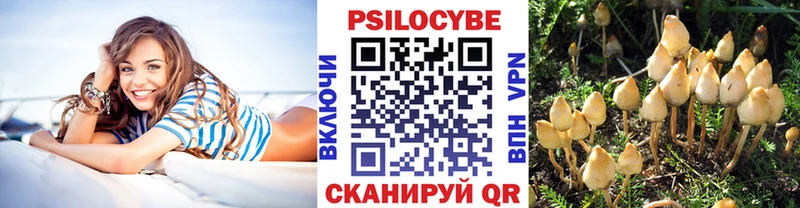 маркетплейс какой сайт Волоколамск Галлюциногенные грибы Psilocybe