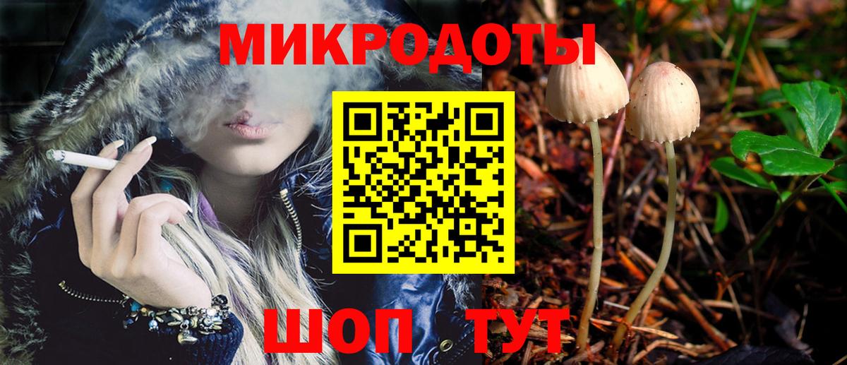APVP Волоколамск